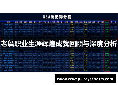 老詹职业生涯辉煌成就回顾与深度分析