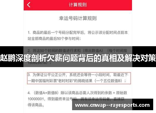 赵鹏深度剖析欠薪问题背后的真相及解决对策