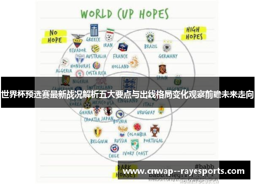 世界杯预选赛最新战况解析五大要点与出线格局变化观察前瞻未来走向
